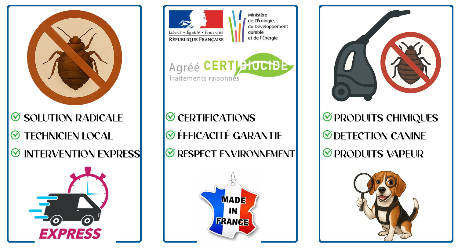 Punaises de Lit Joinville le Pont