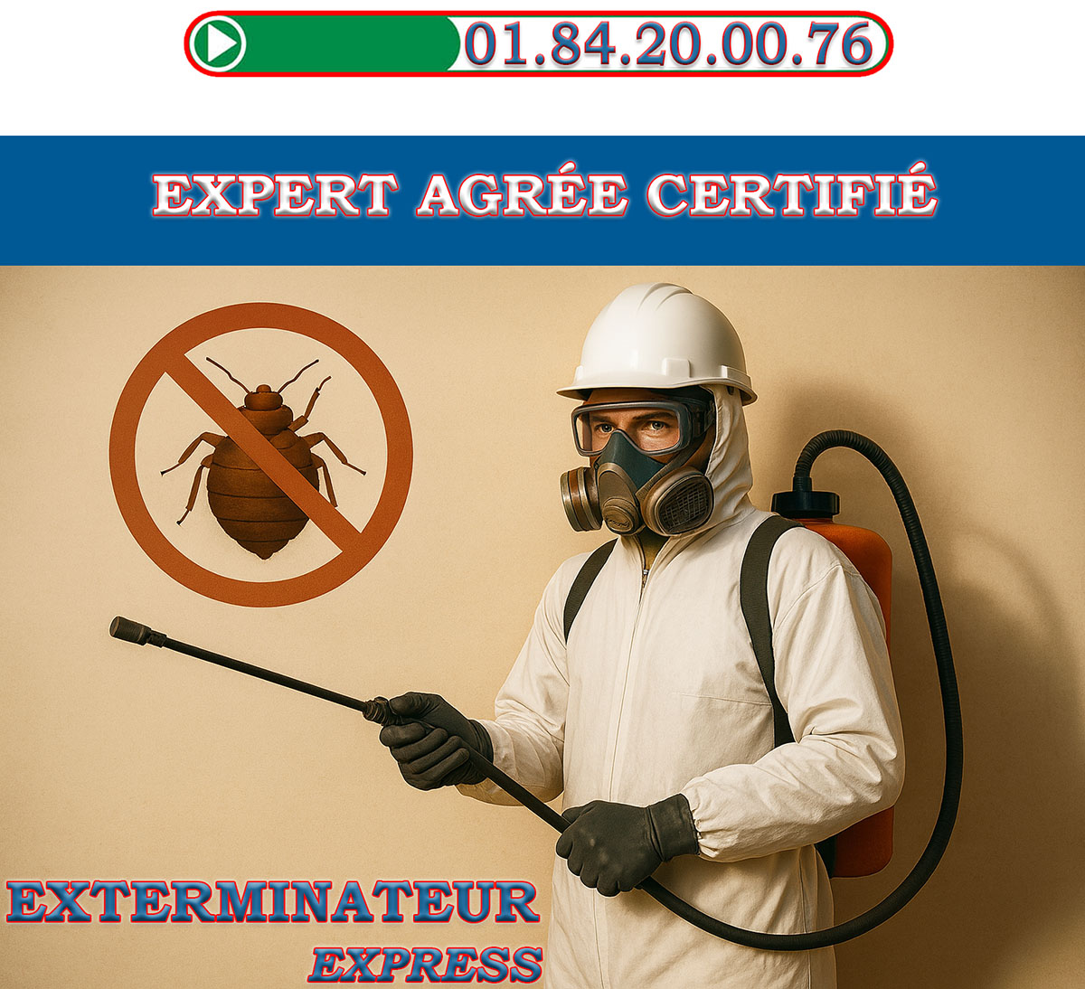 Punaises de Lit Joinville le Pont